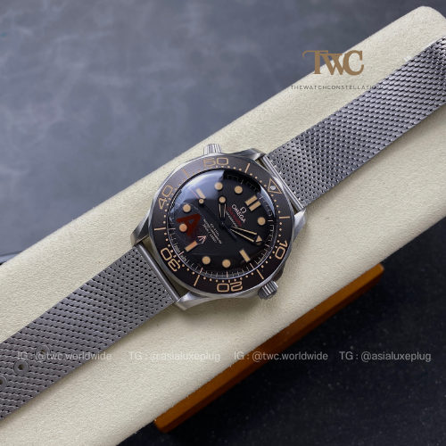 Omega Seamaster (007 James Bond)