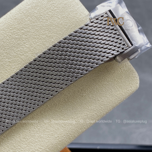 Omega Seamaster (007 James Bond)