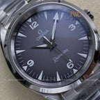 Omega Railmaster