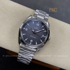 Omega Railmaster