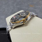 Omega Seamaster Half gold