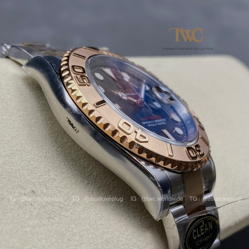 Yacht Master EverRose